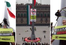 “Presidenta: proteja Topolobambo”, dejan mensaje en el asta bandera del Zócalo