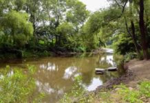 Santa María Chimalapa en lucha contra mega acueducto sobre territorio comunal