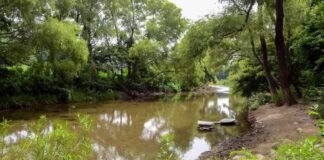 Santa María Chimalapa en lucha contra mega acueducto sobre territorio comunal