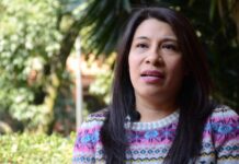 Marisol Adaya, primera mujer coordinadora general de Alcona