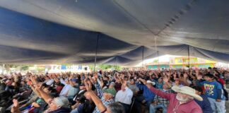 Ya son 57 comunidades con autogobiernos en Michoacán