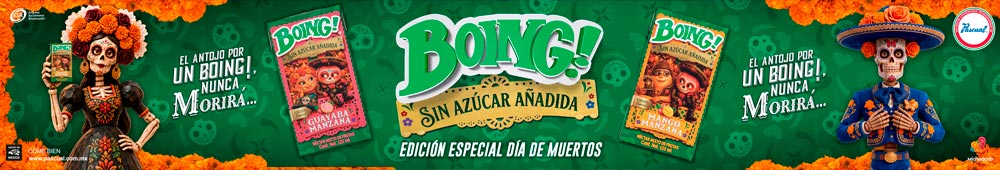 ¡Boing!> </a>
   </div>        </div>


        <footer>
                        
            <div class=