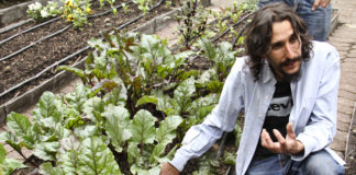 Huerto Roma Verde, oasis dentro de la ciudad