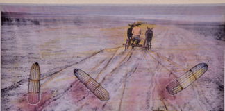 Crece milpa de maíz en el Metro Zapata